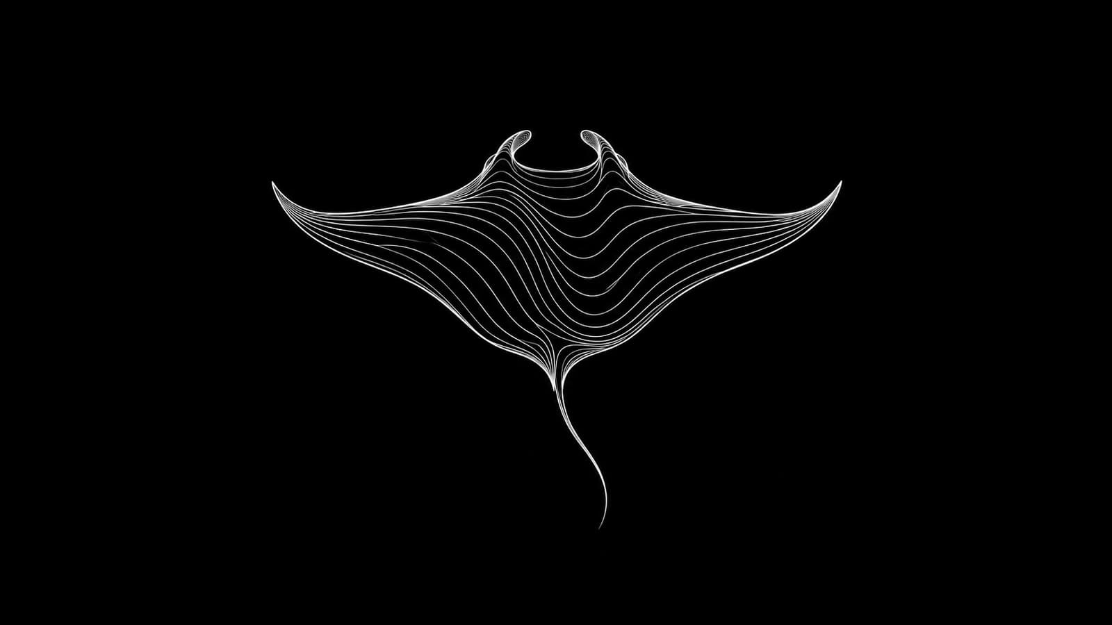 A manta ray drawn in fine white contour lines on black, wings swept wide and tail trailing below.